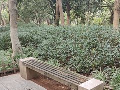 -八仙山公园