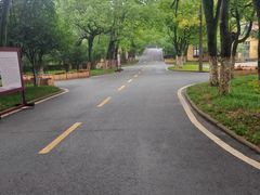 -随州市曾侯乙墓遗址博物馆