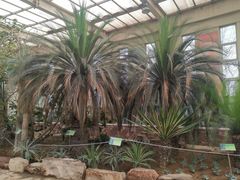 -石家庄市植物园