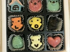 -cocolove创意DIY手工巧克力蛋糕(威高广场店)