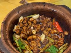 -天宝食坊·啫啫煲大排档(西华路店)