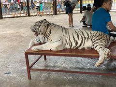 -多彩贵州城极地海洋世界