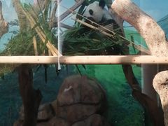 -南宁市动物园