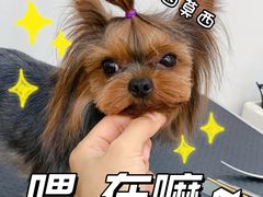 -北京恒爱动物医院(清景园分院)