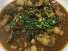 -全乐鱼馆·淳牌有机鱼直营店