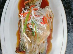 -鲸励母婴月嫂(望京店)