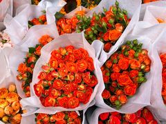 -循礼门鲜花花市(武汉循礼门店)