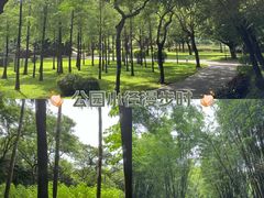 -晓港公园