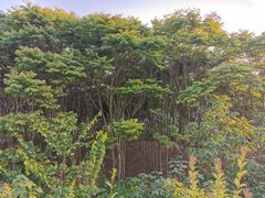 -佛爷洞旅游景区
