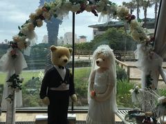 -济州岛泰迪熊博物馆