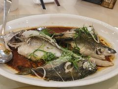 -益利大酒楼(井岸店)