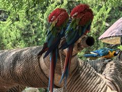 -石家庄市动物园