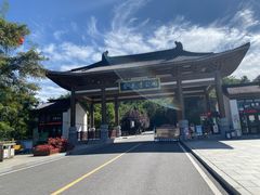 -金龙寺国家森林公园