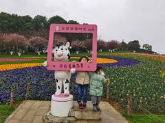 -秀丽东方