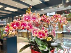 -世纪金源购物中心(远大路店)