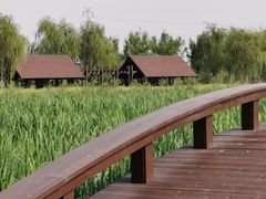 -永定河休闲森林公园