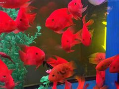 -臻享养生·SPA·影院式足道(汇臻店)