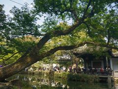 -惠山古镇·寄畅园