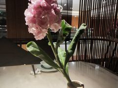 -淮扬府·游园京梦(北京SKP店)