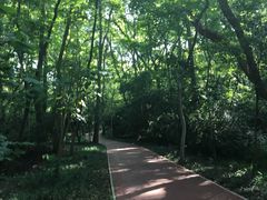 -南京东郊国宾馆