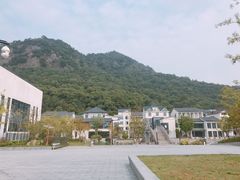 -湘湖金融镇