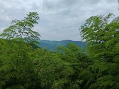 -莫干山风景区