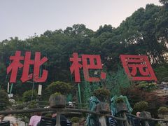 -枇杷园食为鲜火锅(南山店)