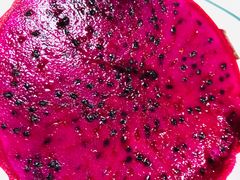 -上海龙吴水胜海发市场