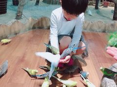 -昆明大悦城未来动物城(螺蛳湾中心店)