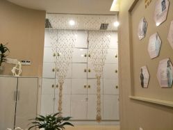 -紫琪尔国际丰胸美胸机构