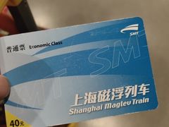 -龙阳路磁悬浮列车总站-停车场