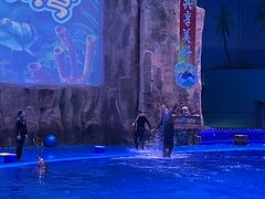 -华夏文旅海洋公园