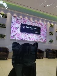 -BABY FACE沙龙