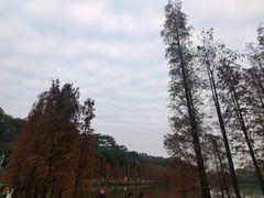-三水森林公园
