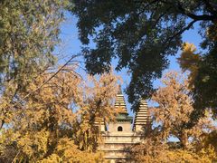-北京石刻艺术博物馆(五塔寺)