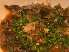 -院里寻菜·精致庭院菜(观沙岭店)