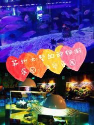 -七巧国萌宠乐园(龙湖天街店)