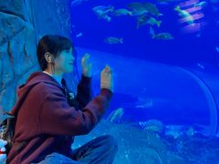 -成都浩海立方海洋公园