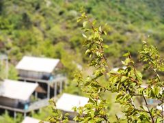 -北京山里寒舍度假酒店