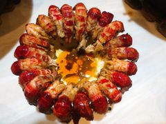 -九道菜有鸡鱼头(石鼓路店)