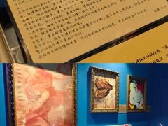 -bb boom运动闯关密室·聚会团建·家庭亲子(龙湖西溪天街店)
