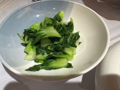 -席家花园(巨鹿花园店)