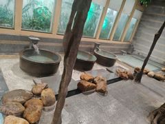 -御池园(顾村公园店)