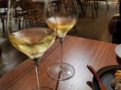 -Wine Universe 宇宙酒馆