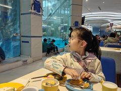 -帝企鹅自助餐厅•儿童岛•真企鹅(长隆企鹅酒店)