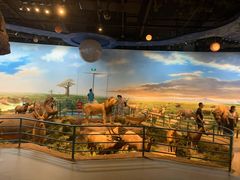 -陕西自然博物馆