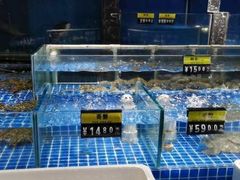 -雍沪里·沪湘融合菜( 康桥店)