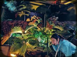 -恐龙探索乐园(磁器口店)