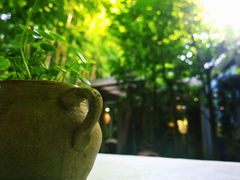 -新竹里馆·花园餐厅(兴苑路店)
