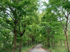 -上海海湾国家森林公园